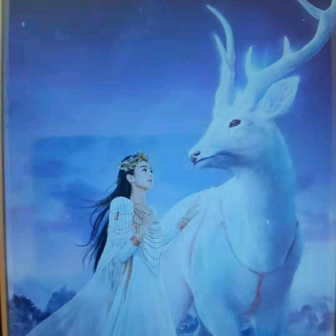 贺涵