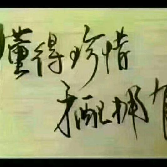 臧