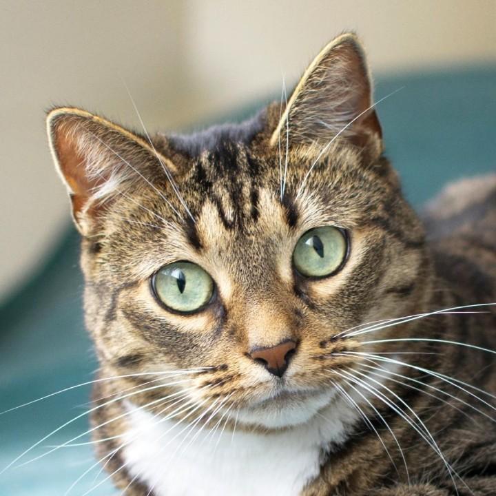 天行健君子以自强不息