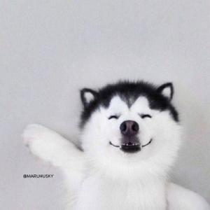 Ao