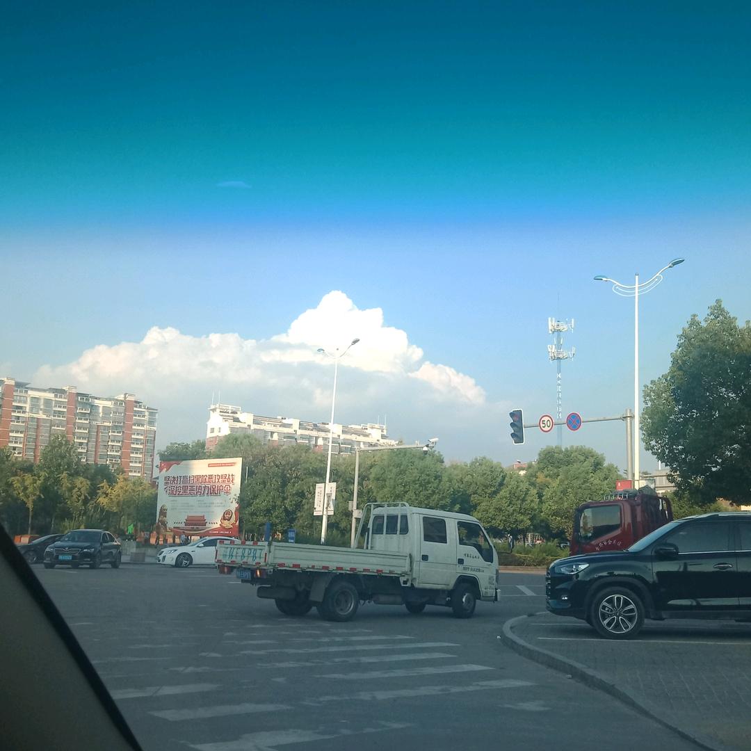 金玉满唐