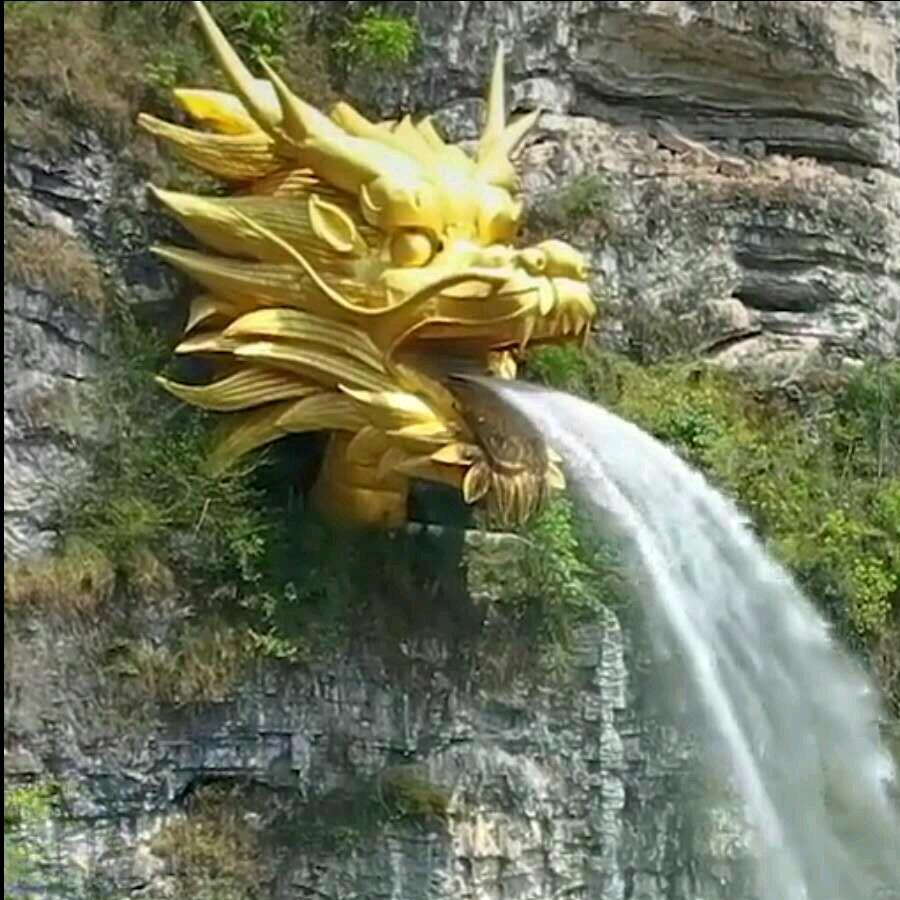 九