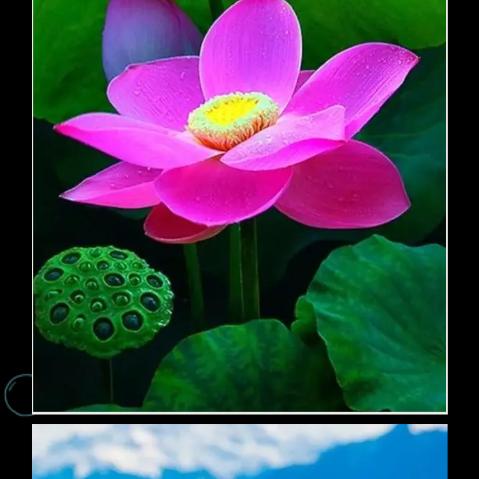 梅姐