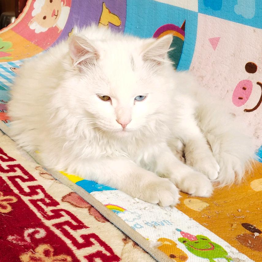 金瑞富泽宝盈财盛福昌