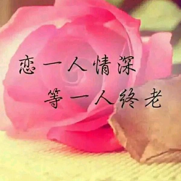 四月飞雪