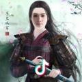 飞扬