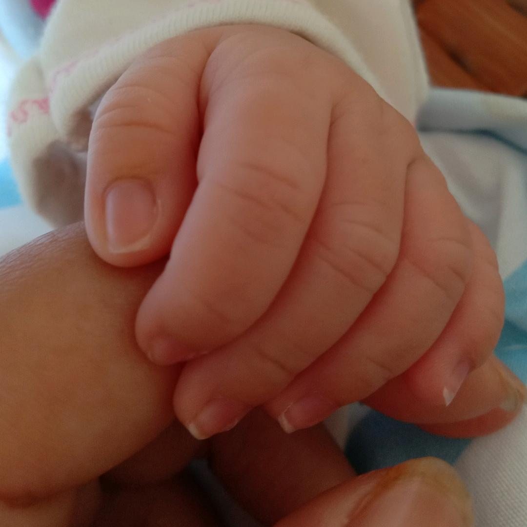 奋斗的青春火苗