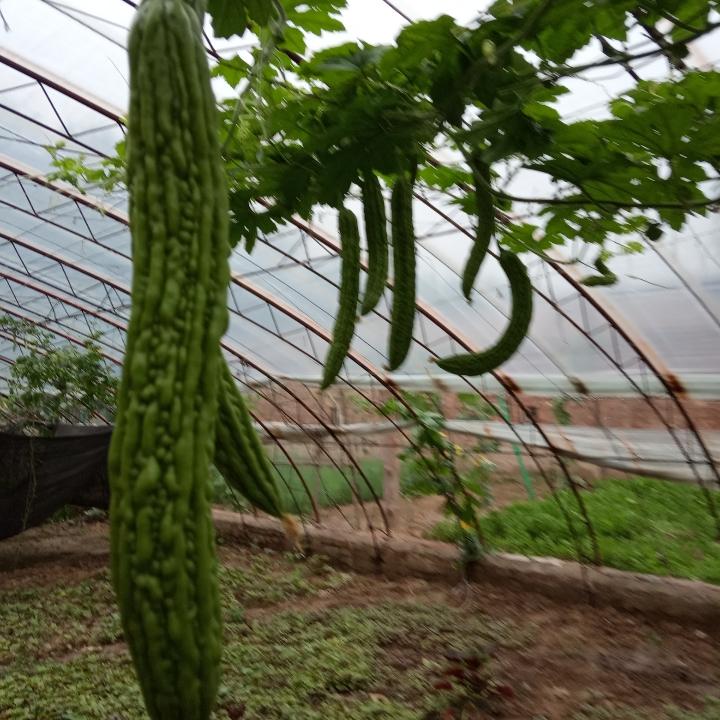 小陈。