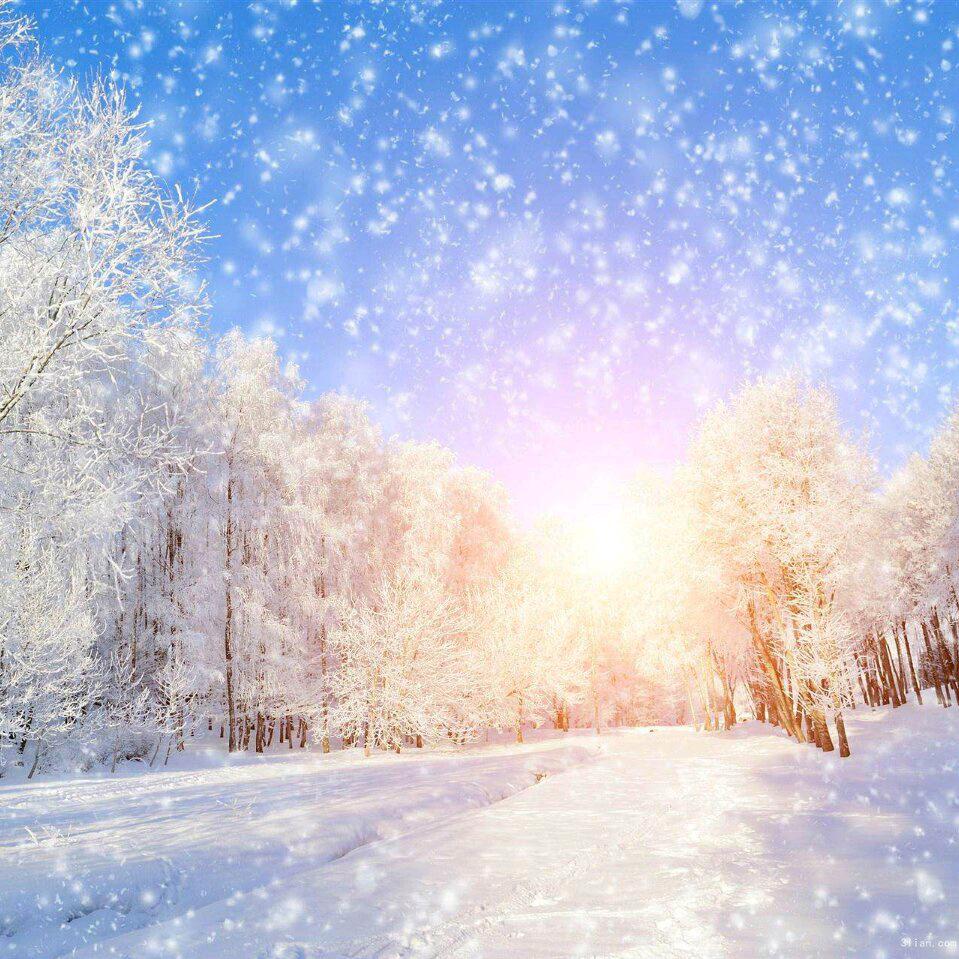 瑞雪兆丰年