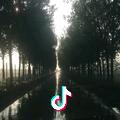 无解