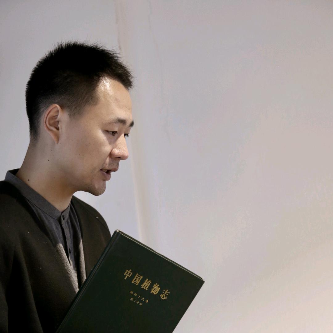茶叶进化论