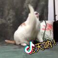 然然不想起床