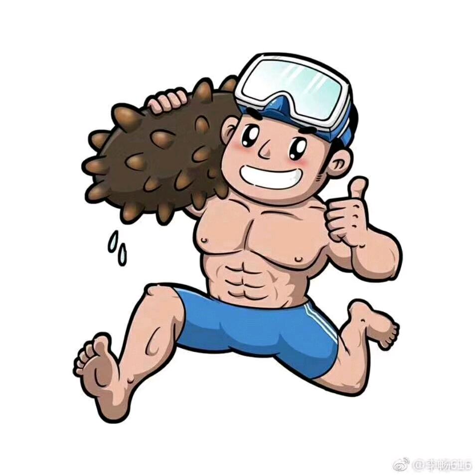 奔跑的海参哥
