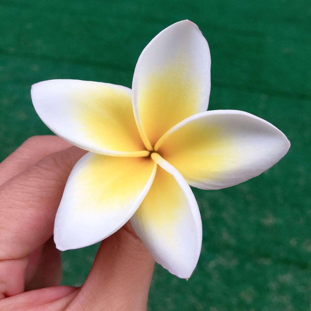 林静