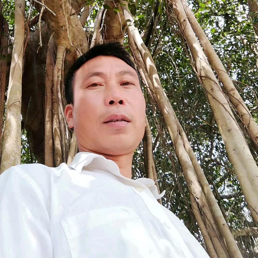 为你停刘：