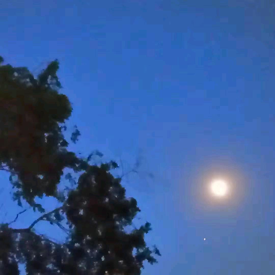 财是平衡物  不求而自得