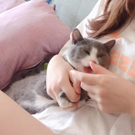阿拉蕾