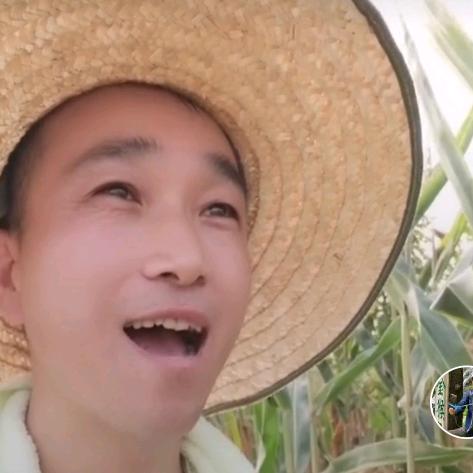 中原五哥