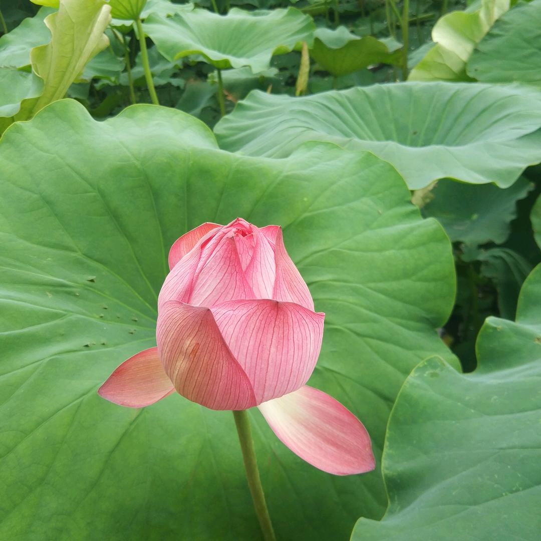 幸儿用户6848219985153