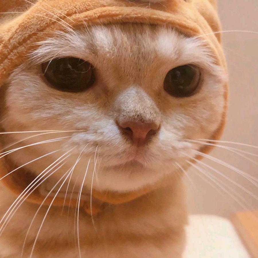 段总