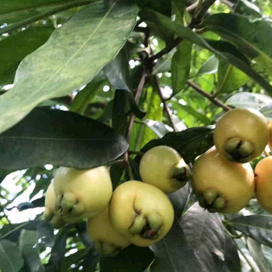 平平淡淡才是真,