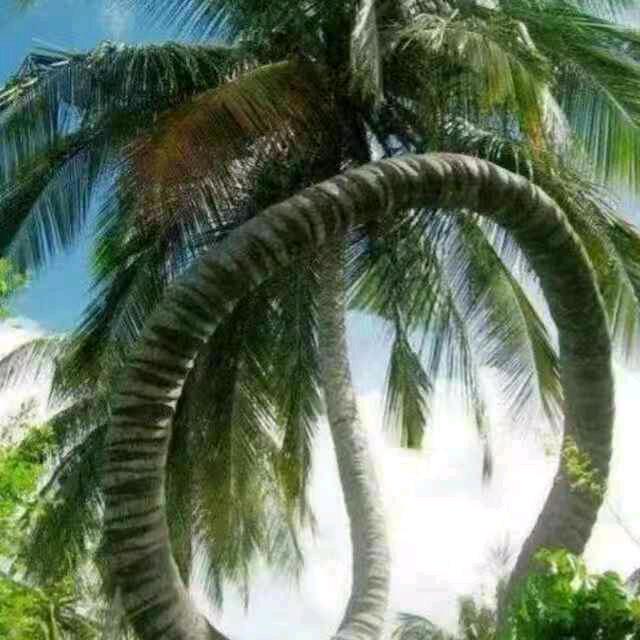 顺其自然.