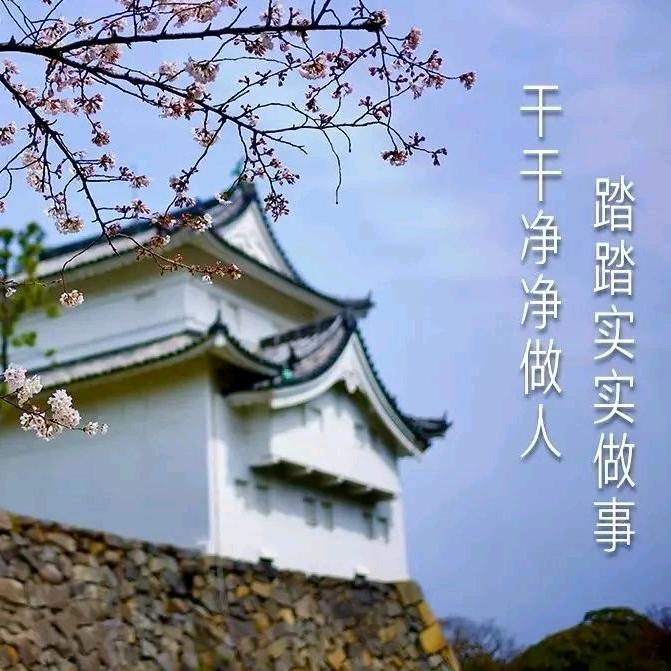 大萍