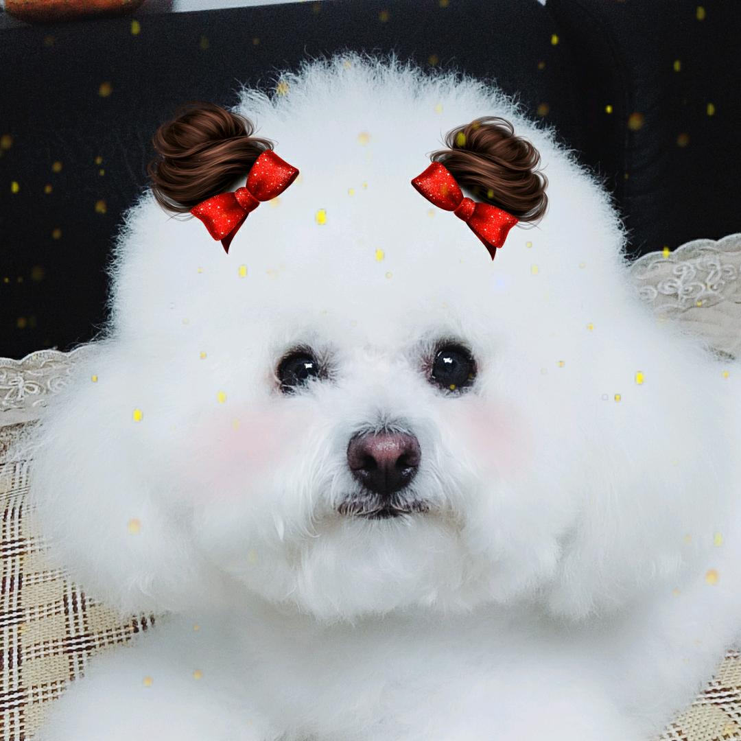 我们叫Lucky😁