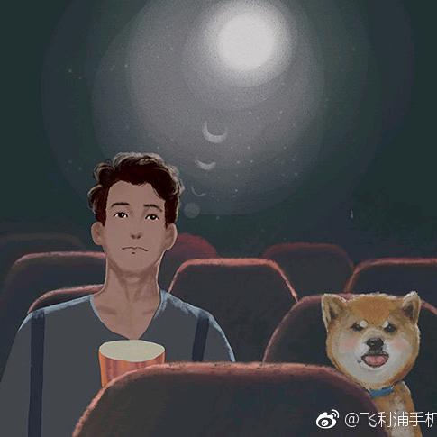 @金毛小乖🐶