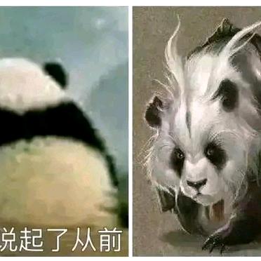 雪这个字念suo