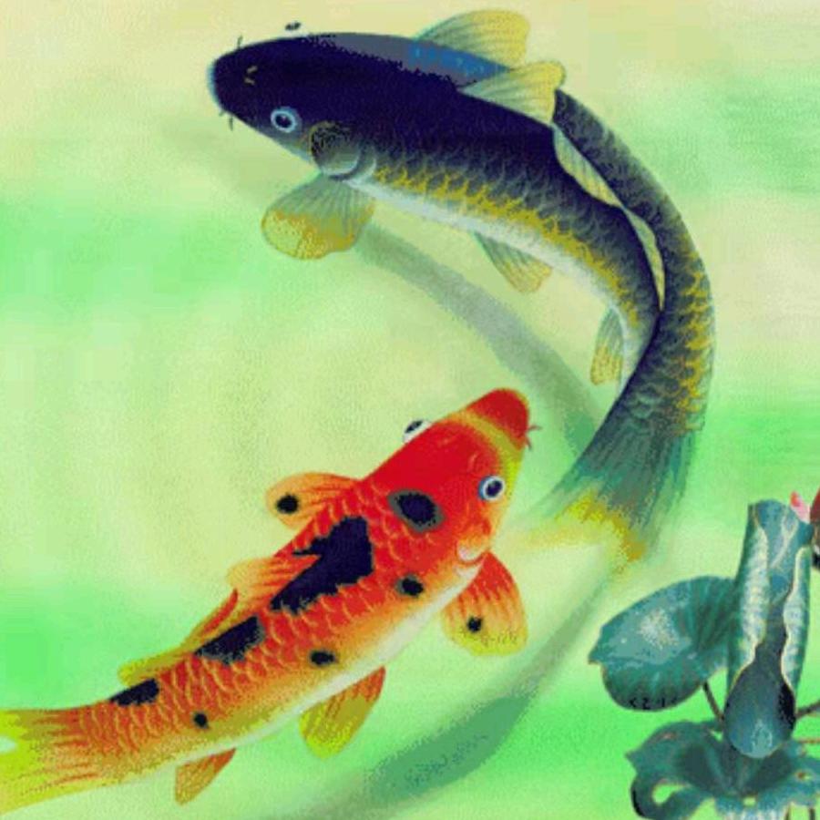 鱼水情