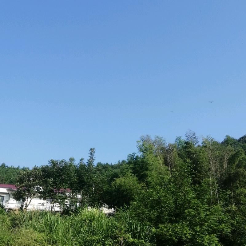 用户4512564117015