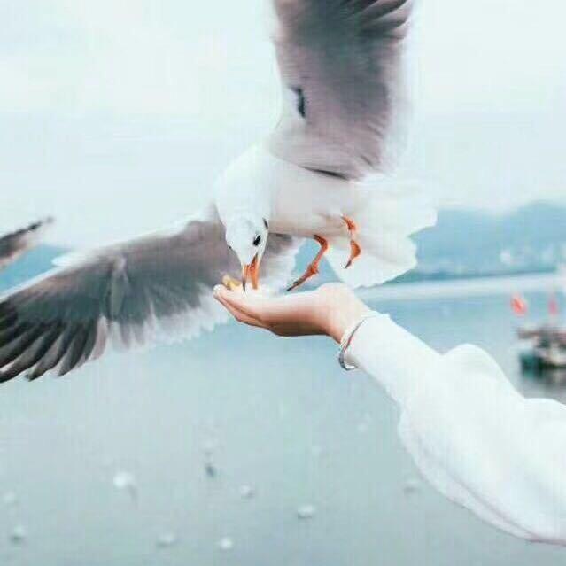 彦