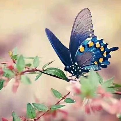 孟孟🧚‍♀️