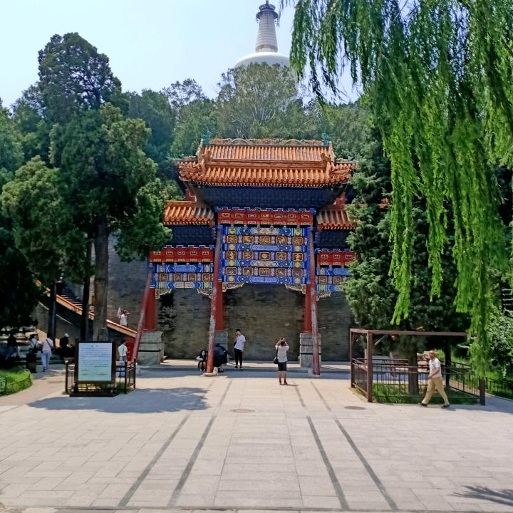 随波逐流