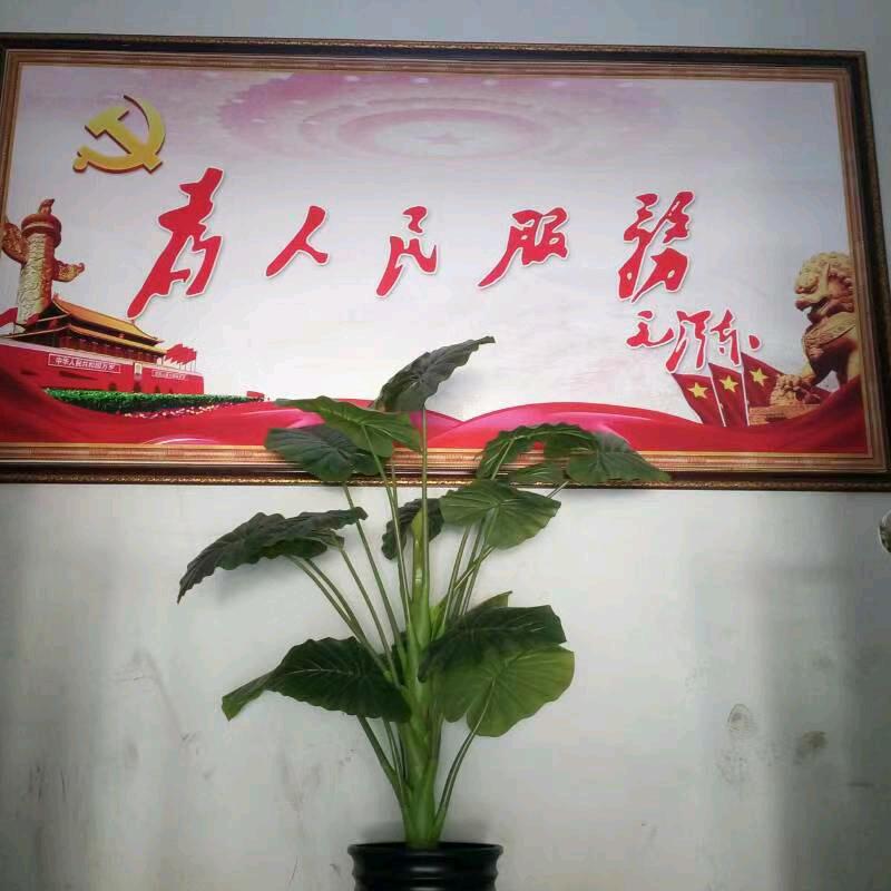长治东，加水哥团队出租KTV，红棚，