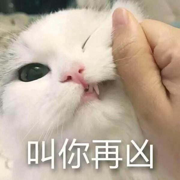 潘潘
