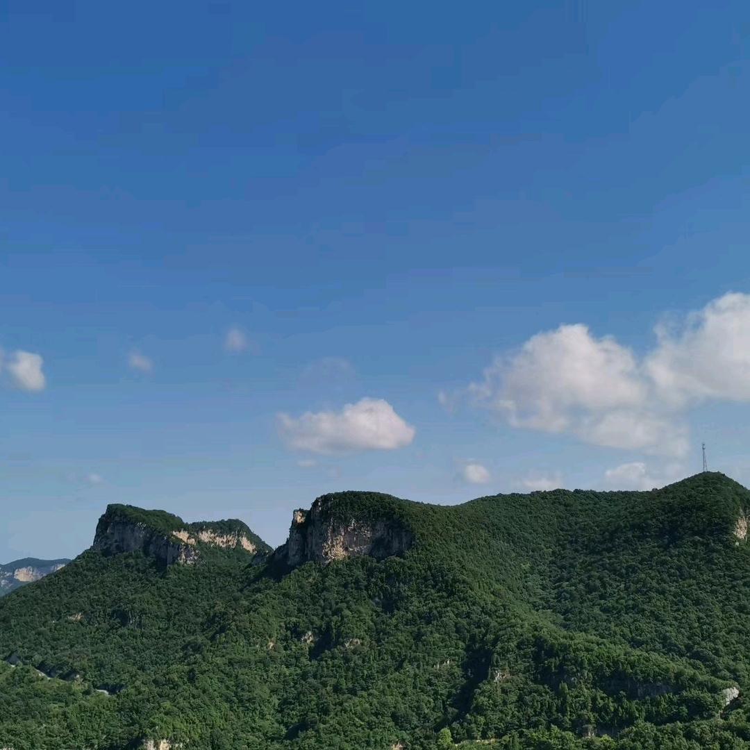 踏一路春雪