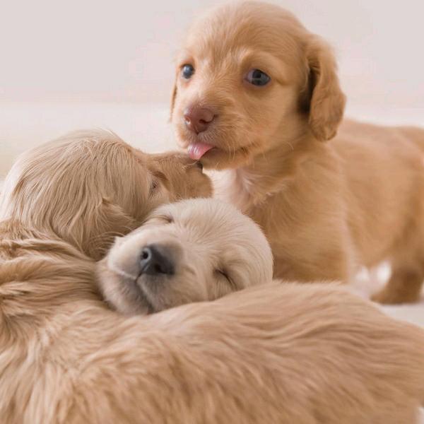 涵磊👧️👦️