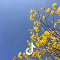 蔚蓝%天空