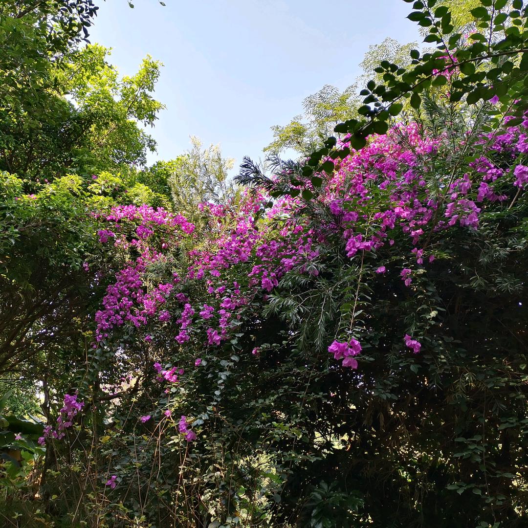 清风～明月～