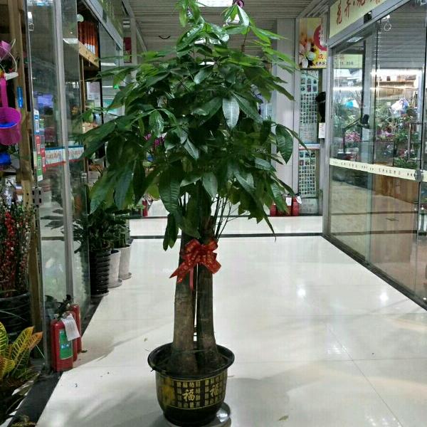 情一动心就痛