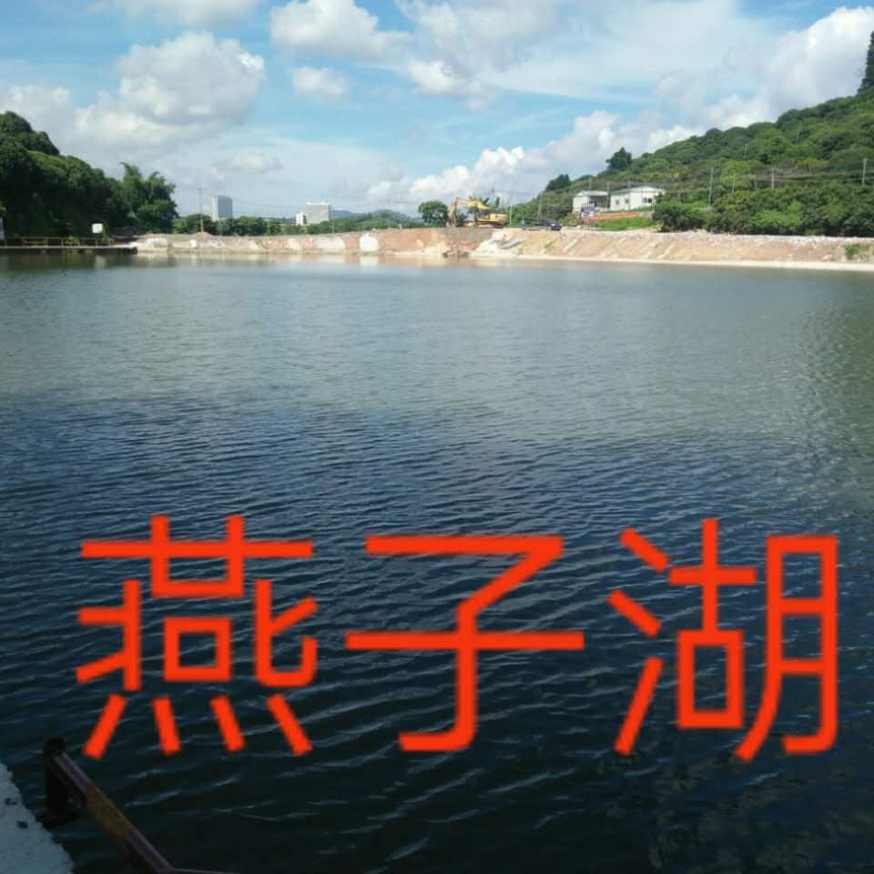 燕子湖～专业潜水打捞队