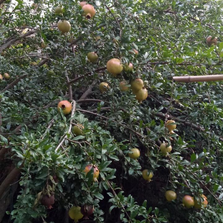 宁静致远(拒连赞、私聊及合拍)