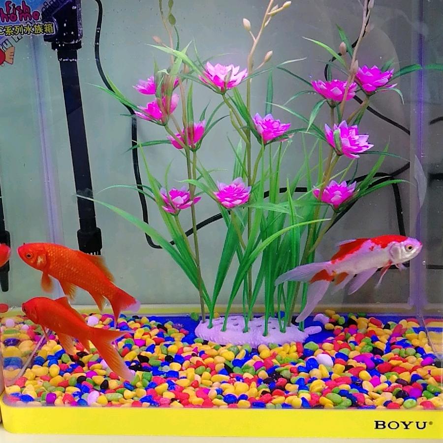 王者之宁静致远