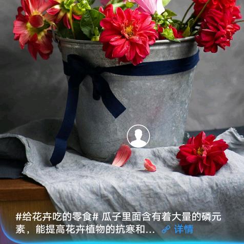 东波