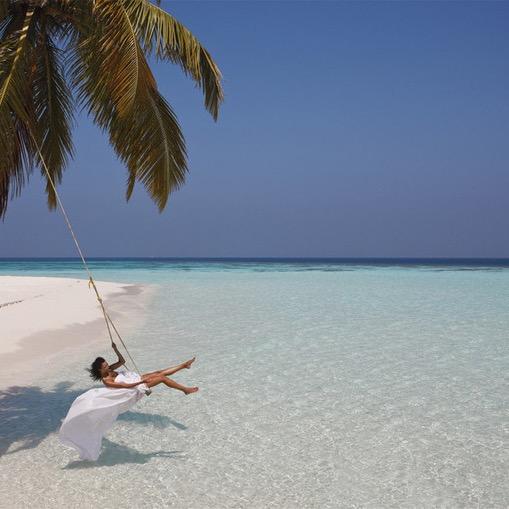 帮德（别喝了，师哥）