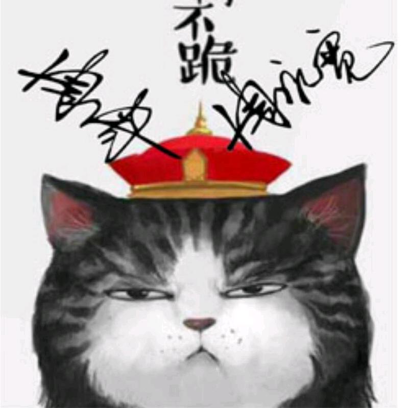 蓝海宽哥用心装电脑