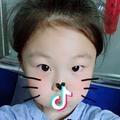 城里的月光