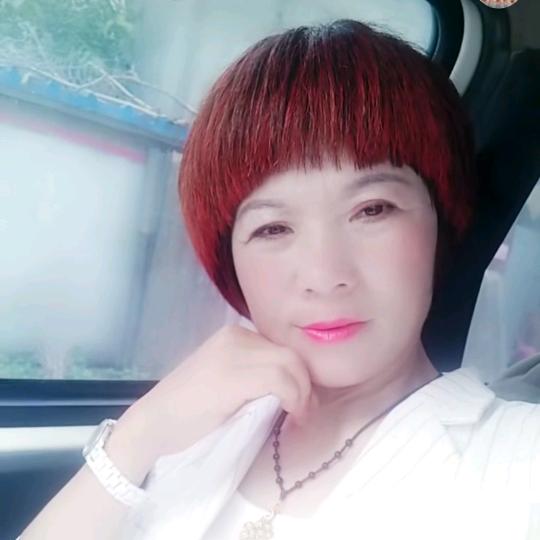 情系领姐